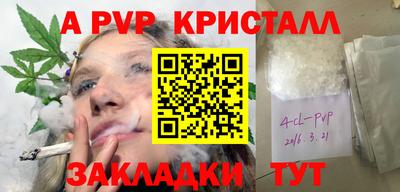 стафф Кинель