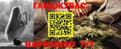гидра Кингисепп
