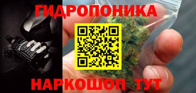 дживик Кимры