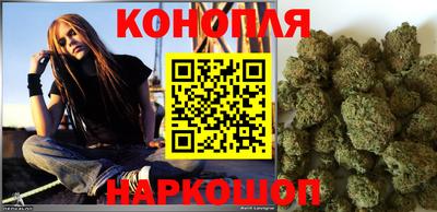 гидра Кингисепп