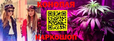дживик Кимры