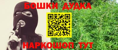 гидра Кингисепп